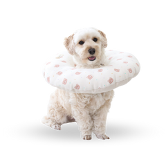 RITOGATO Pet Collar Organic Cushion Neck Collar for Pets RITOGATO