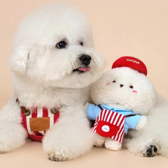 Bichon Frise Cotties Clerk George PET