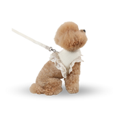 RITOGATO Organic Philly Frill Harness  | 寵物蕾絲邊牽引繩