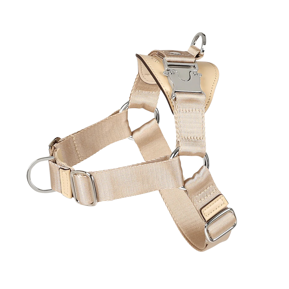 HOZI Harness Horsebit Harness PET