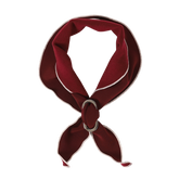 HOZI Doggie Scarf PET