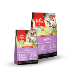 ORIJEN Grain Free Cat Food - Kitten Formula | 無穀物貓糧 - 幼貓配方 Orijen