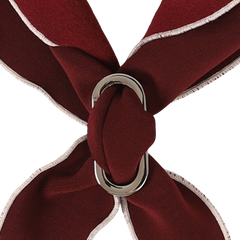 HOZI Doggie Scarf PET