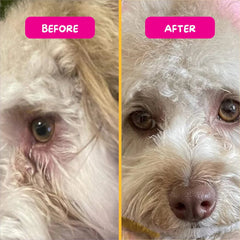 PetEyez™ Eye Care Powder (Tear Stain Remover) - Chicken Flavor | 眼部護理粉 (去淚痕) - 雞肉味 PET