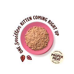 LILY’S KITCHEN Chicken Paté for Kittens | 幼貓雞肉肉醬 LILY’S KITCHEN