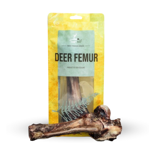 親愛的鹿股股骨 親愛的鹿股股骨