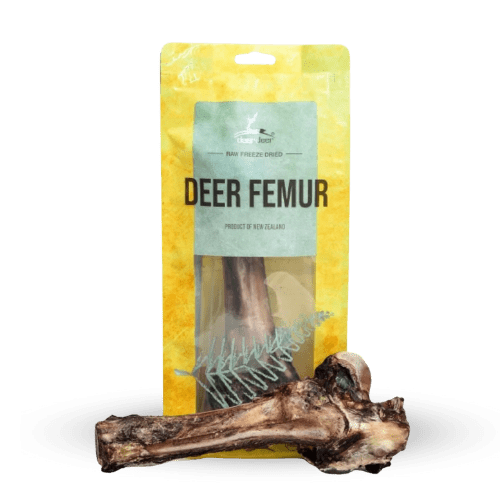 DEAR DEER Deer Femur - PET