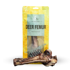 親愛的鹿股股骨