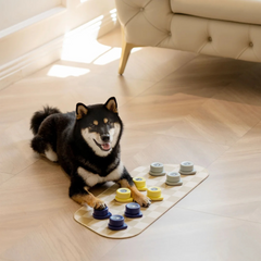 MEWOOFUN喵乎汪也 寵物溝通按鈕 | 狗狗說話按鈕