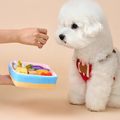 Bichon Frise Cotties Mini Bento PET