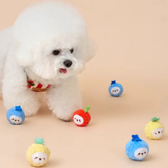 Bichon Frise Cotties Fruit Party toys PET