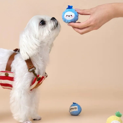 Bichon Frise Cotties Fruit Party toys PET
