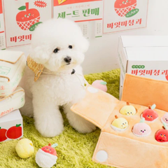 BITE ME Mixed Fruits Box Nosework Toy Bite Me