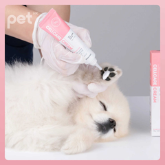 Doocamedi Cellcare Cream being applied on a dog's paw for deep moisturizing and skin repair