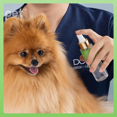 Doocamedi Cellcare Mist stem cell repair spray being applied to a fluffy dog for coat hydration and soothing