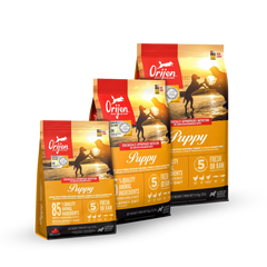 ORIJEN PUPPY DRY DOG FOOD 無穀物雞肉 (幼犬) 配方 Orijen