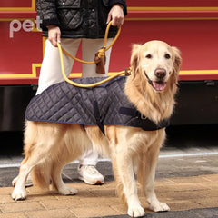 Slip Leash - Black / Beige / Orange / Mustard / Navy / Pink HOZI