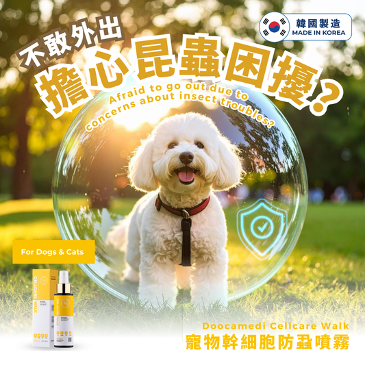 Are Your Pets Afraid to Go Out Due to Insect Concerns?