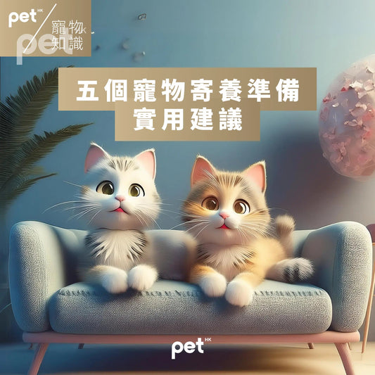 貓酒店的秘密：讓您的愛貓享受奢華假期 - PET