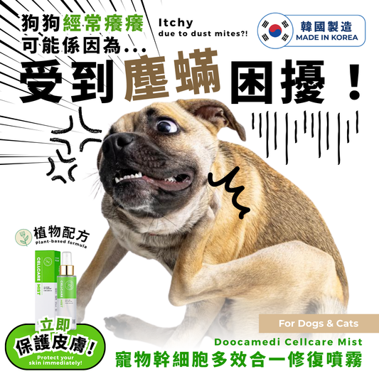 Doocamedi Cellcare Mist - Pet Repair Spray Recommendation