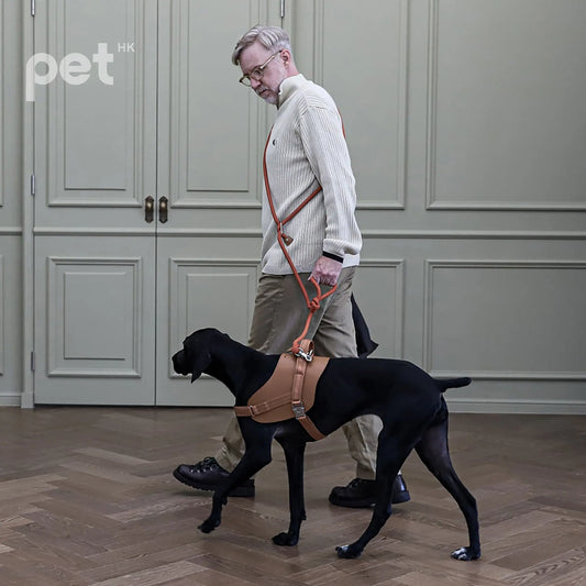 Pet-Harness-Selection-A-Comprehensive-Guide-to-Choosing-the-Right-Harness-for-Your-Furry-Friend-Ensuring-Safety-and-Comfort. PET