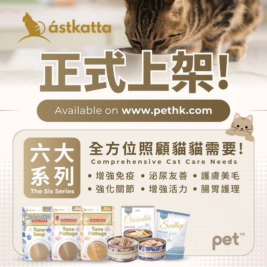 Introducing Astkatta: Comprehensive Cat Care Solutions