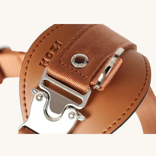 Pet Harness Guide: Choosing the Right One for Safety and Comfort