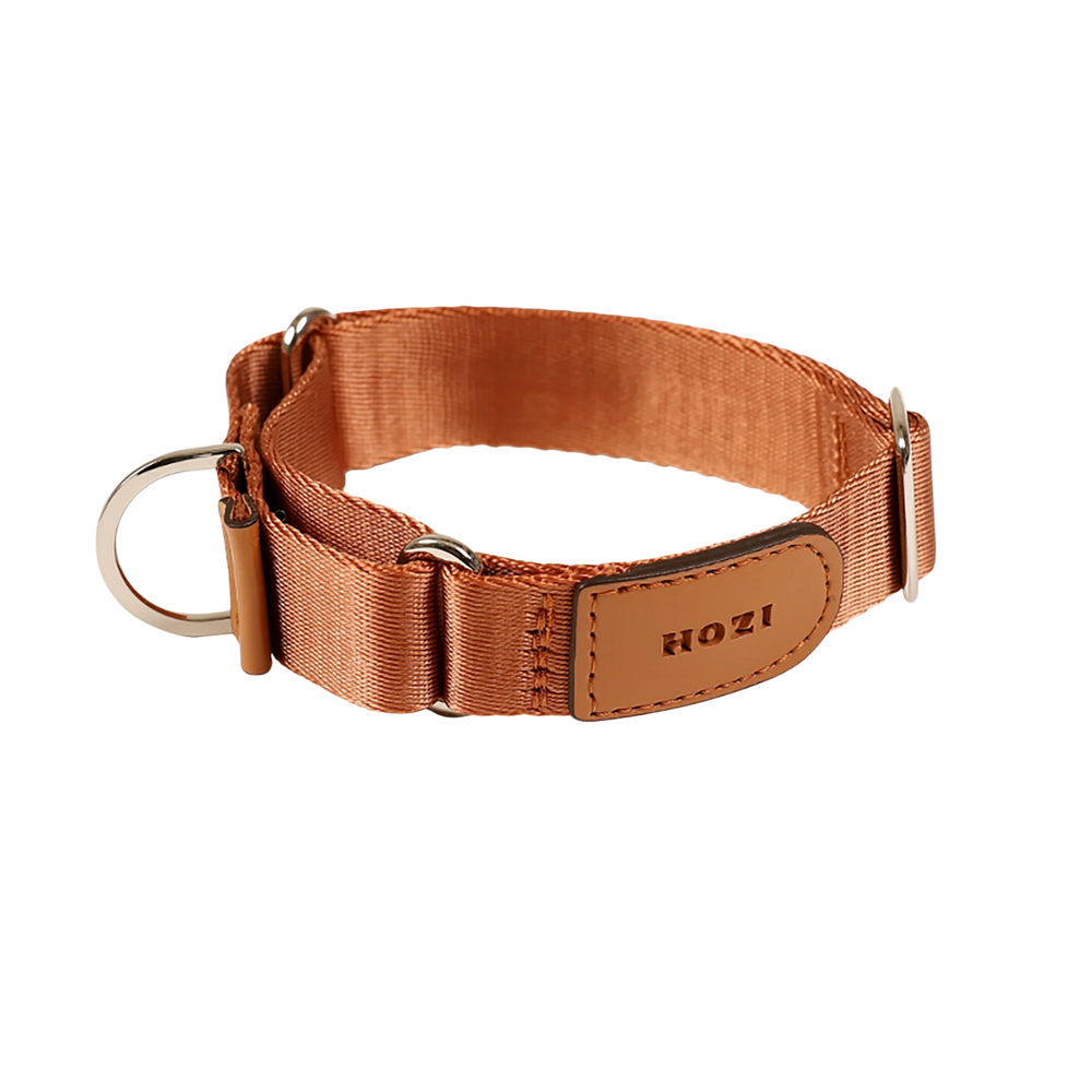 HOZI Collar Martingale PET