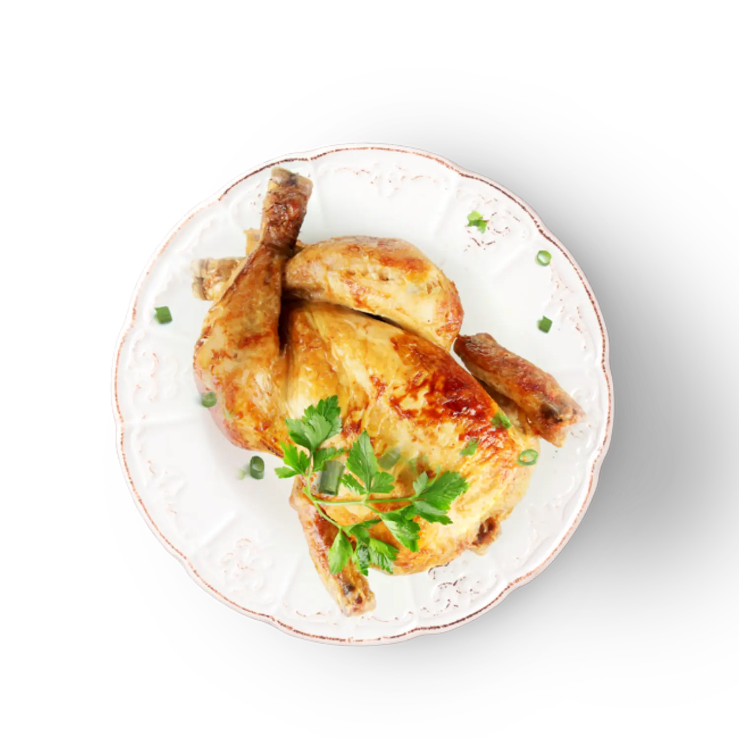 Oven-Baked Tradition Small Breed Adult Grain Free Chicken – Premium Grain-Free Small Bite Dog Food (5lb / 12.5lb) | 小型犬成犬無穀雞肉小粒優質狗糧 Oven Baked