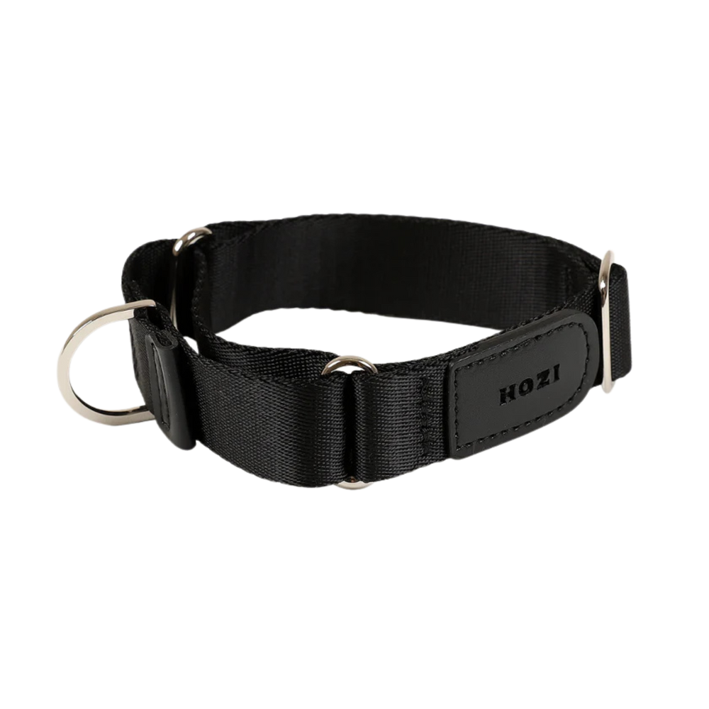 HOZI Collar Martingale PET