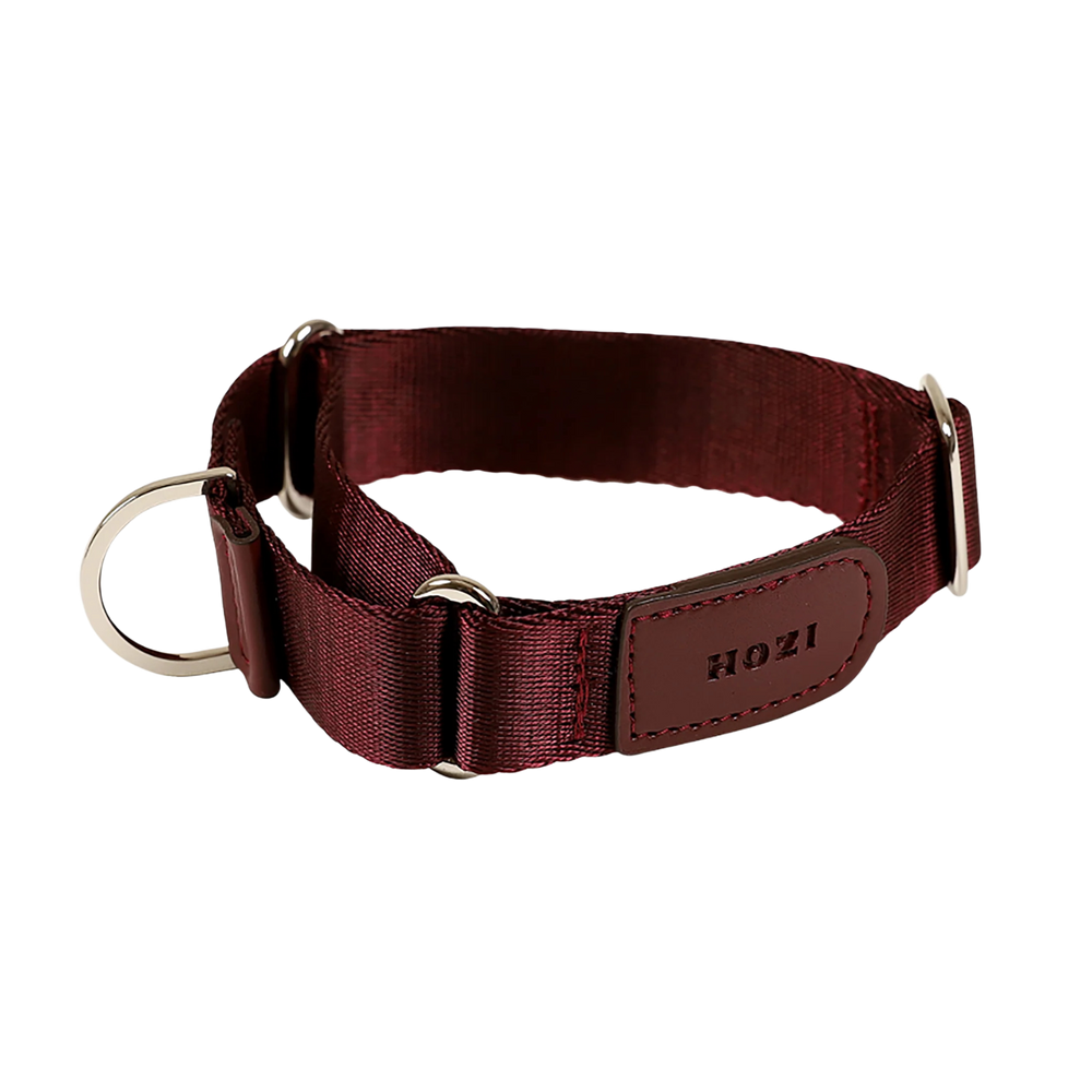 HOZI Collar Martingale PET