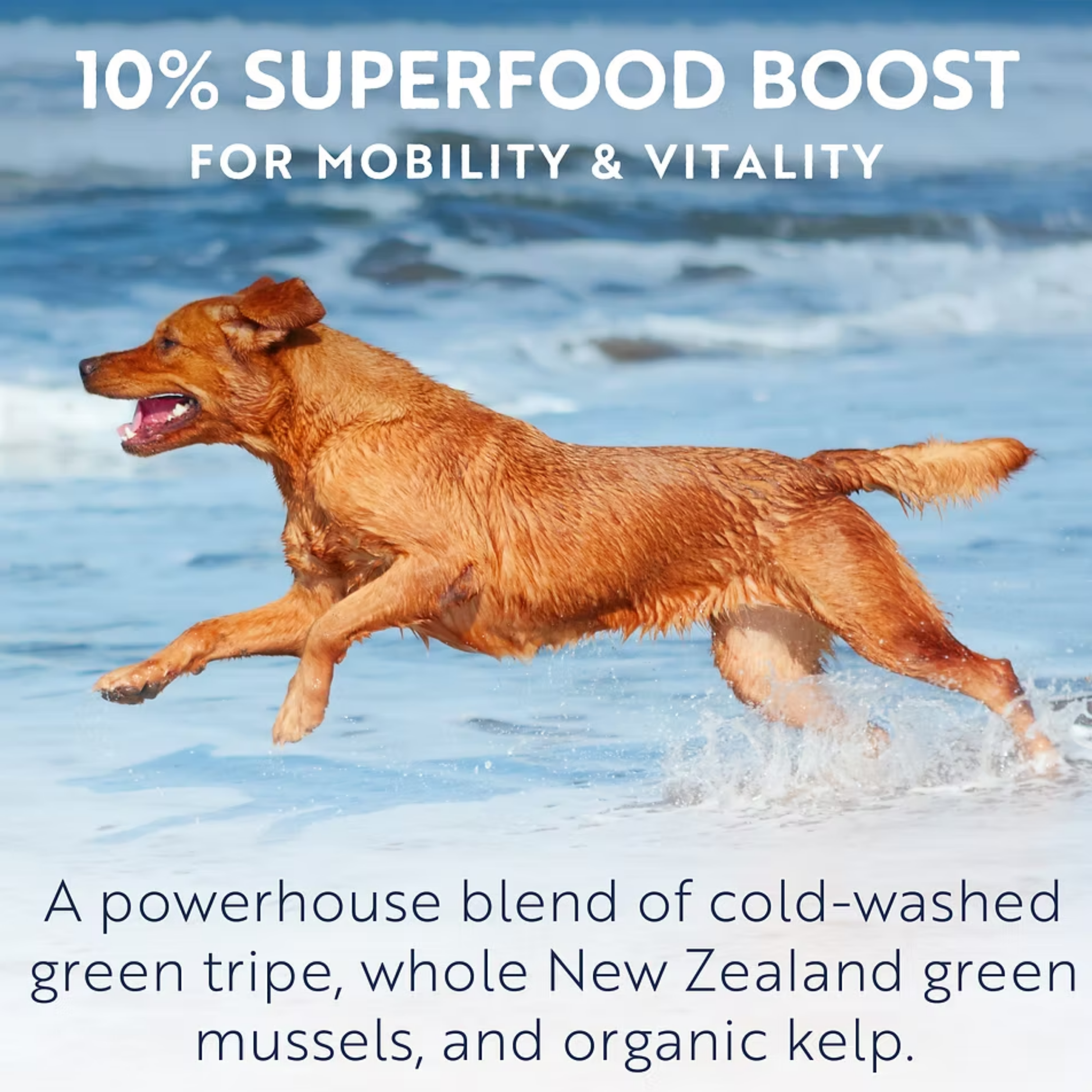 ZIWI Air-Dried Tripe & Lamb For Dogs | 風乾狗糧-草胃及羊肉配方