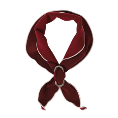 HOZI Doggie Scarf PET