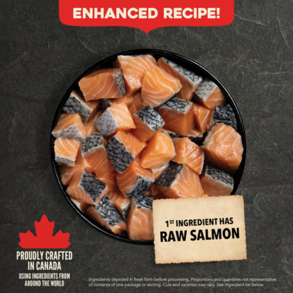 Acana Dog Food - Classics Wild Coast - Salmon & Herring | 狂野海岸(魚肉配方) ACANA