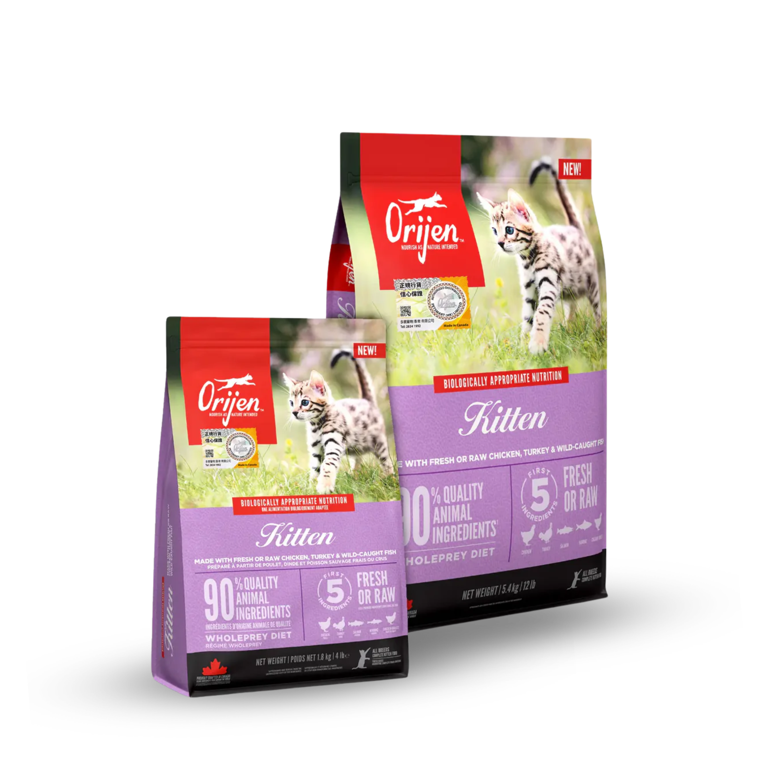 ORIJEN Grain Free Cat Food - Kitten Formula
