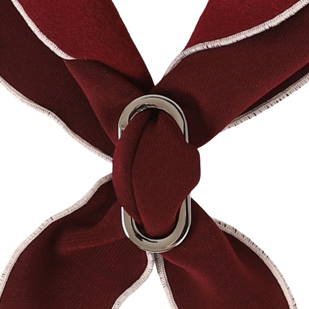 HOZI Doggie Scarf PET