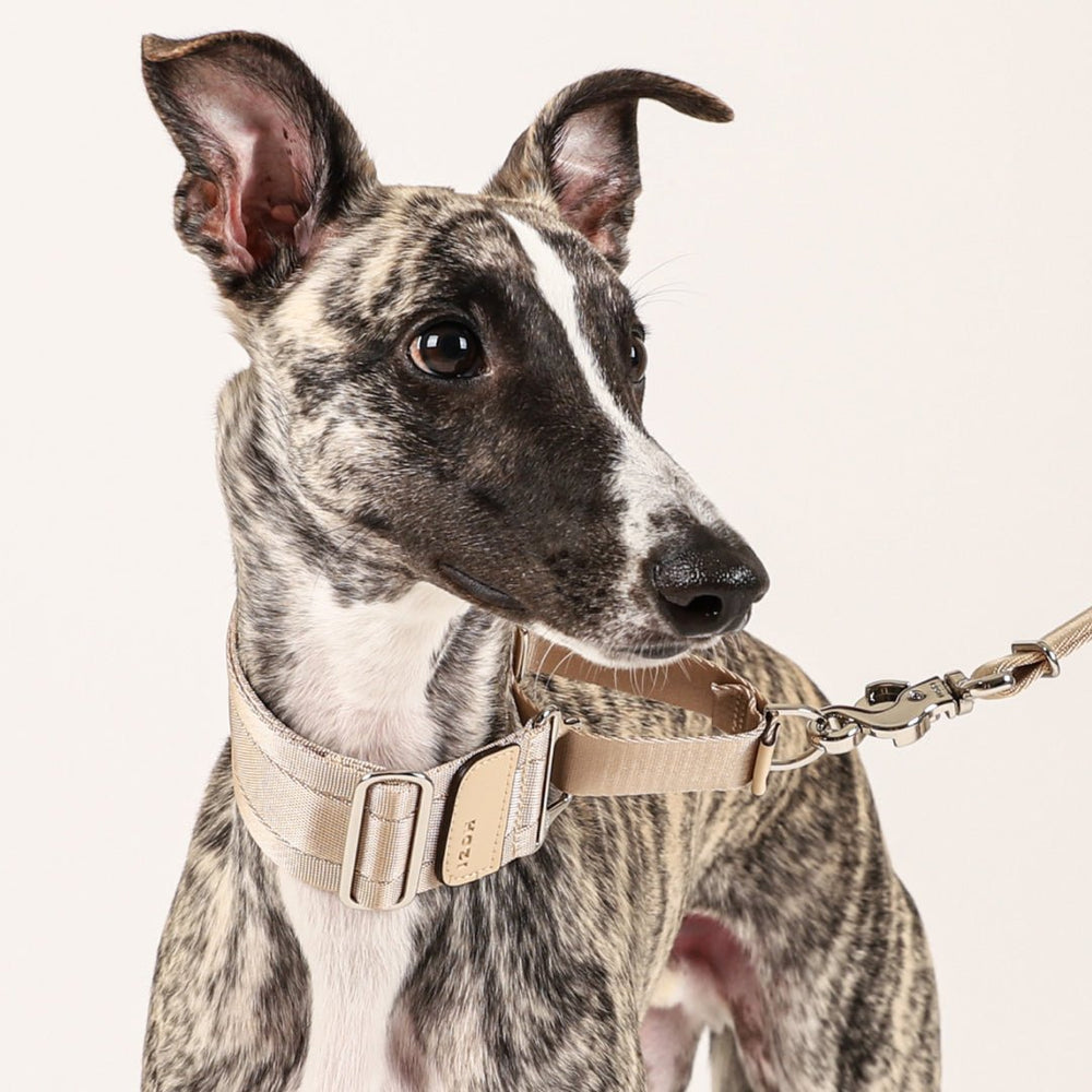 HOZI Collar Wide Martingales - PET