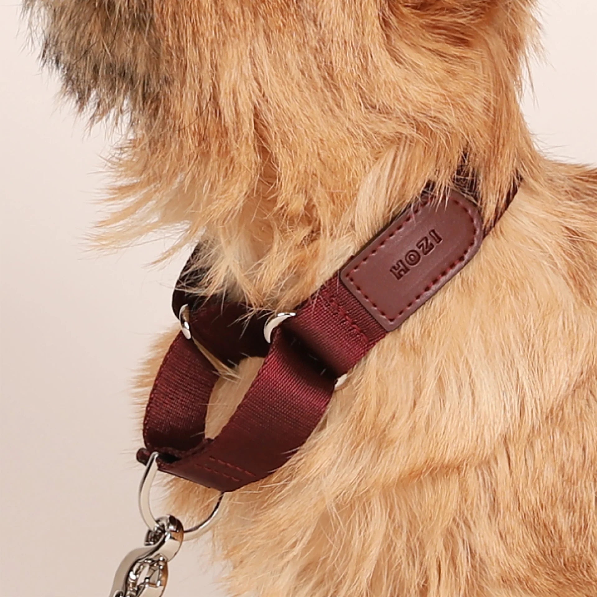 HOZI Collar Martingale PET