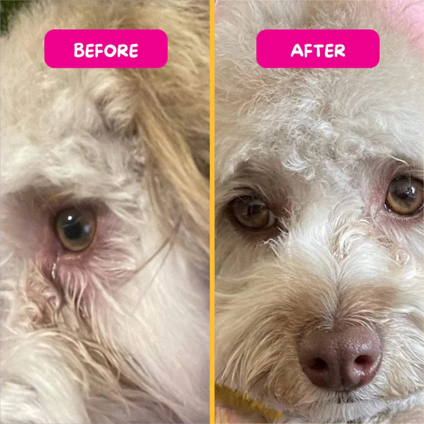 PetEyez™ Eye Care Powder (Tear Stain Remover) - Beef Liver Flavor