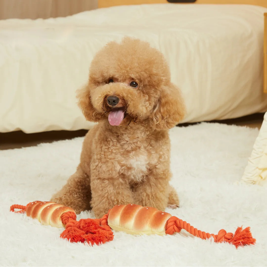 PP Lab - Sausage Bun Tug Toy | 小腸仔包拉扯玩具 Bite Me