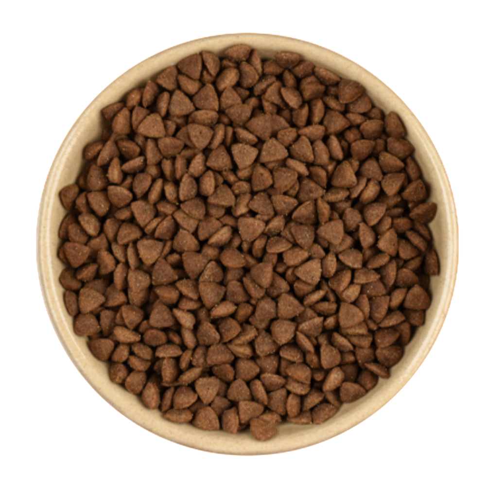 kakato One Tuna grain-free cat dry food with high-quality protein and omega-3 for all life stages