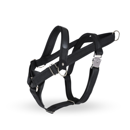 HOZI Bridle Harness - 時尚與功能兼備的狗繩，適合各種場合