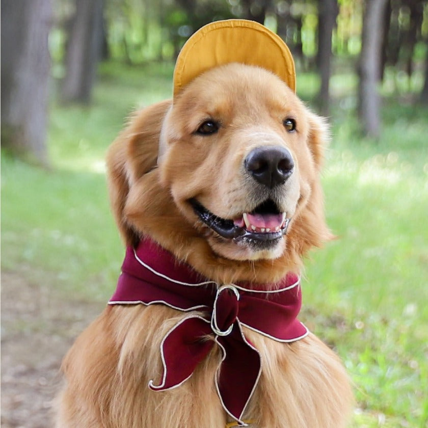 HOZI Doggie Scarf PET