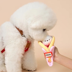 Bichon Frise Cotties Strawberry Crepe