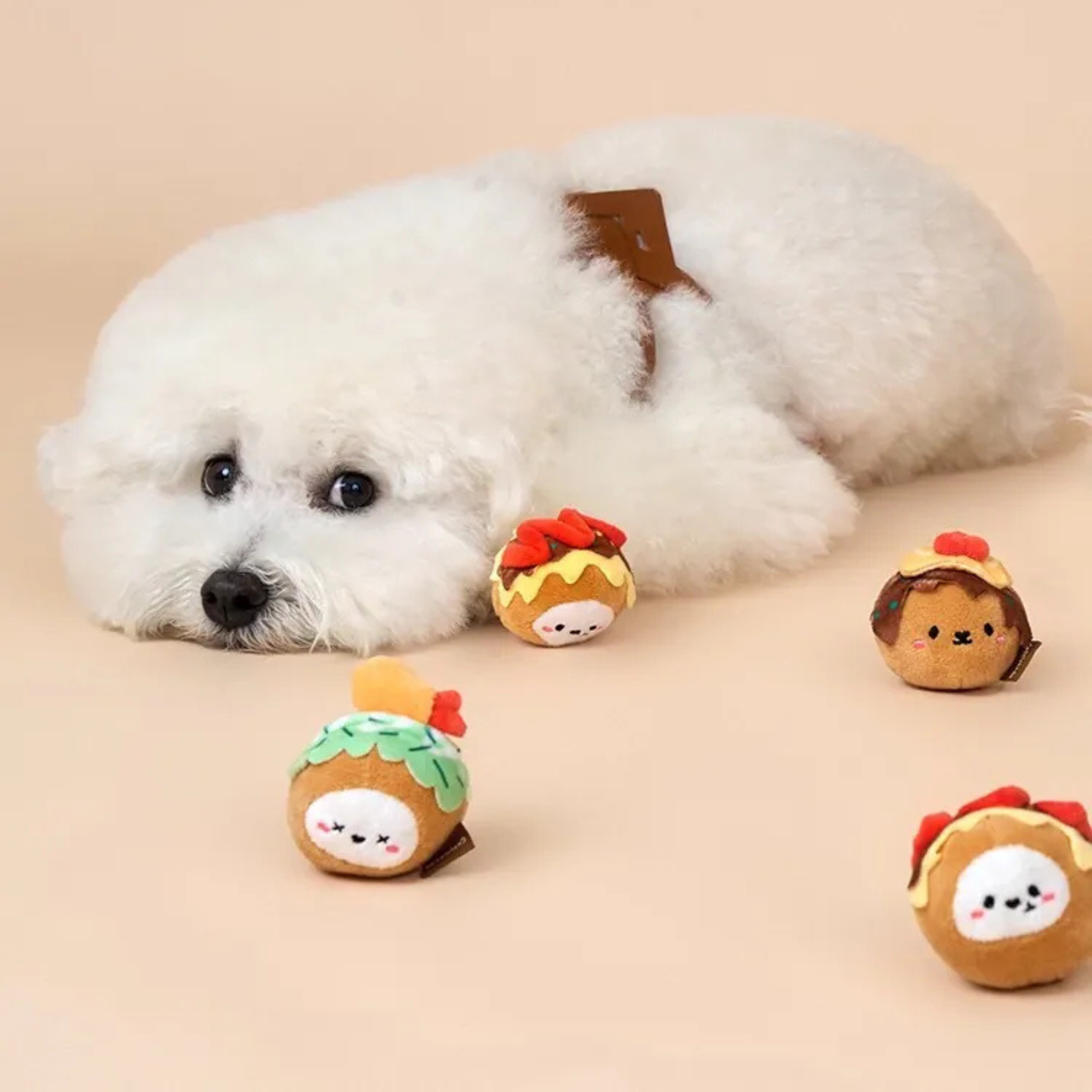 Bichon Frise Cotties Takoyaki