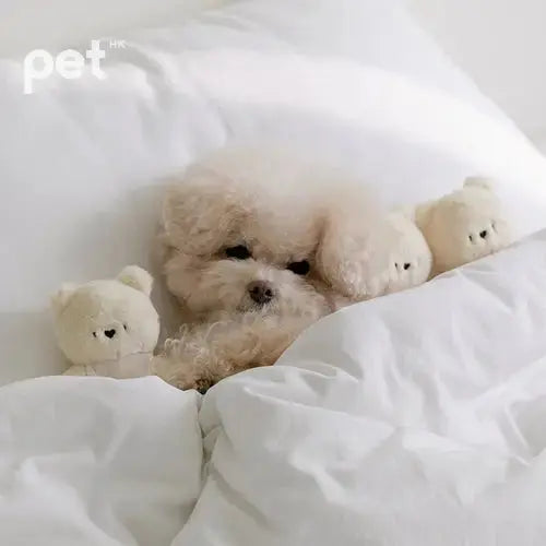 BITE ME My Bestie Bear Toy Bite Me