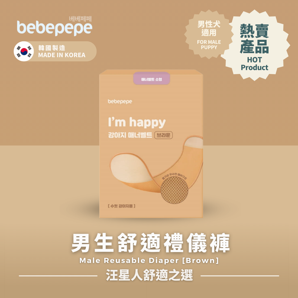 Bebepepe male reusable diaper in brown for puppies, made in Korea, comfortable and eco-friendly pet diaper.
