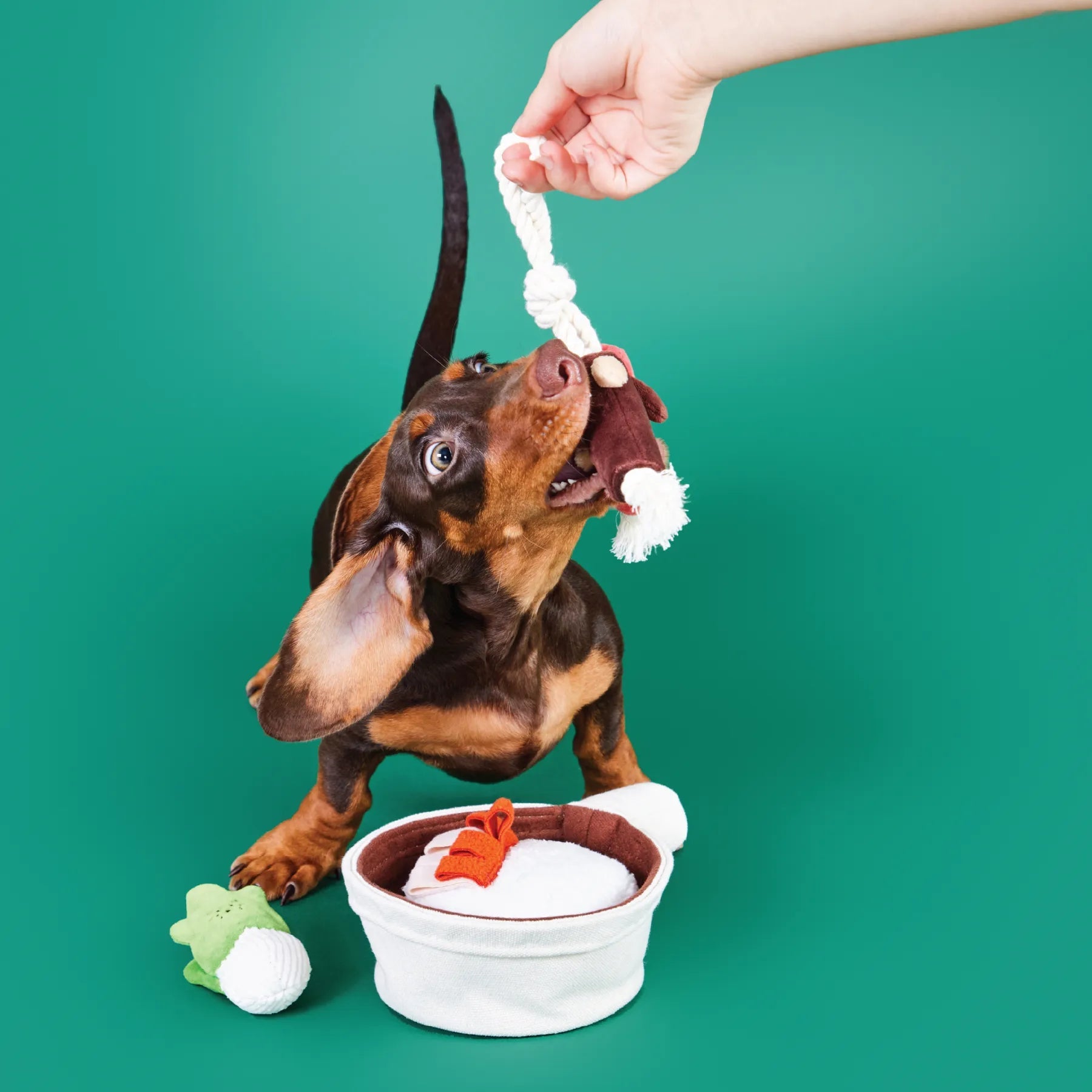 PP Lab - Claypot Rice with Lap Mei | Cat Toy | 煲仔飯臘味 | 貓玩具 Bite Me