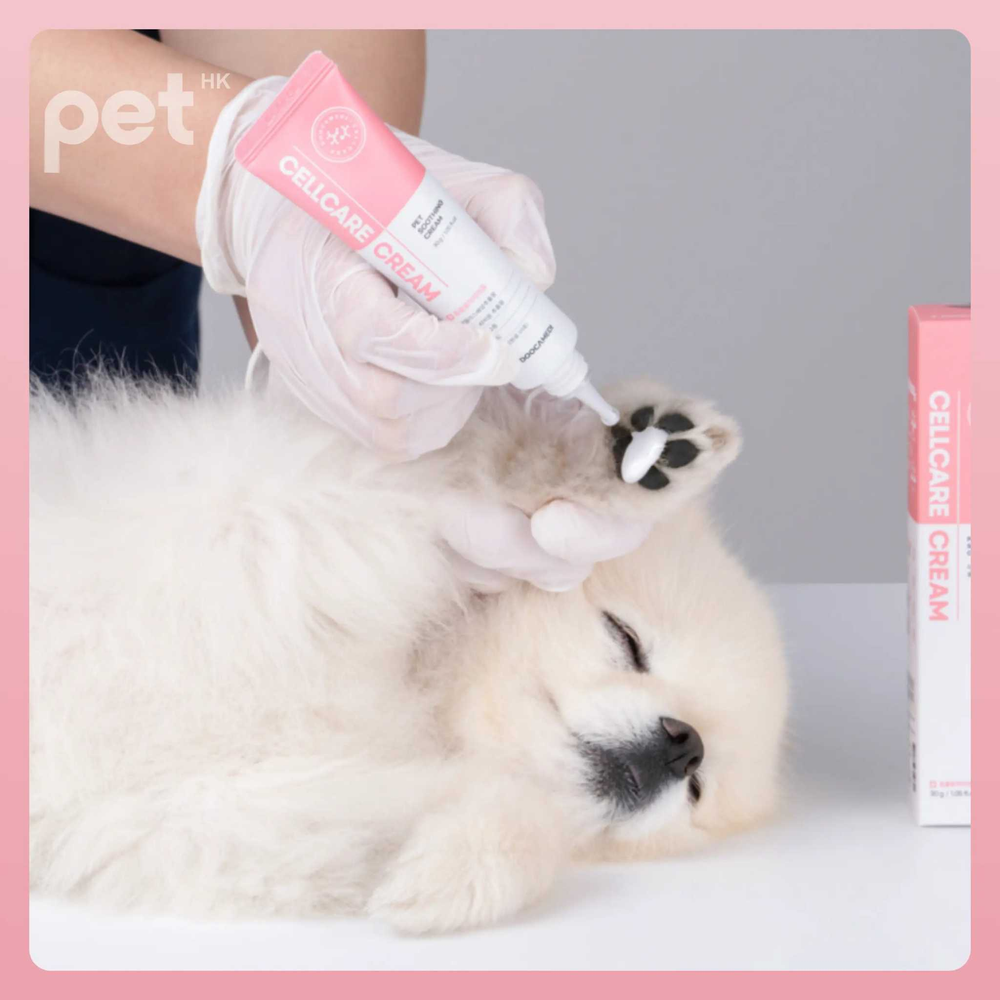 Doocamedi Cellcare Cream being applied on a dog's paw for deep moisturizing and skin repair
