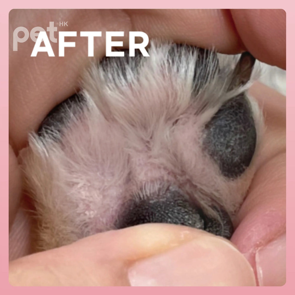 Doocamedi Cellcare Drama: LED Red Light Therapy for Joint Pain Relief DOOCAMEDI